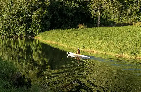 Native Hawaiian Elder, teaching