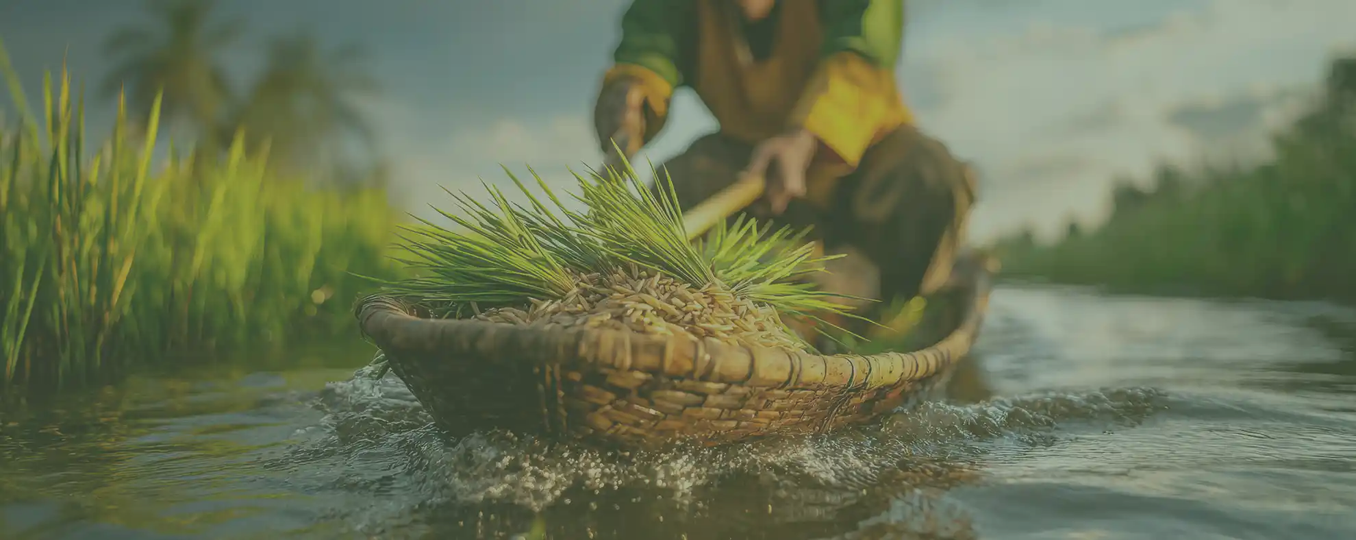 Signature Collections